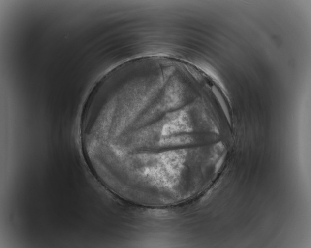 X0000088481088200706191402