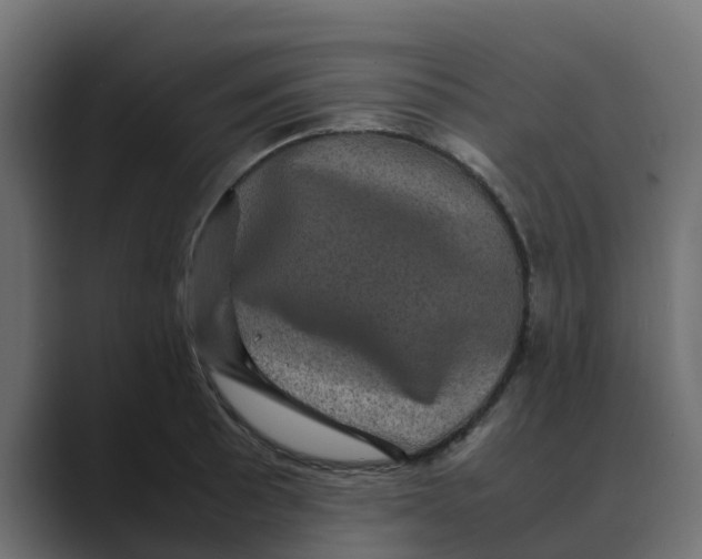 X0000088481089200706191402