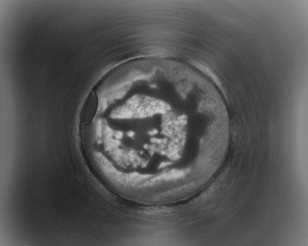 X0000088481091200706191402