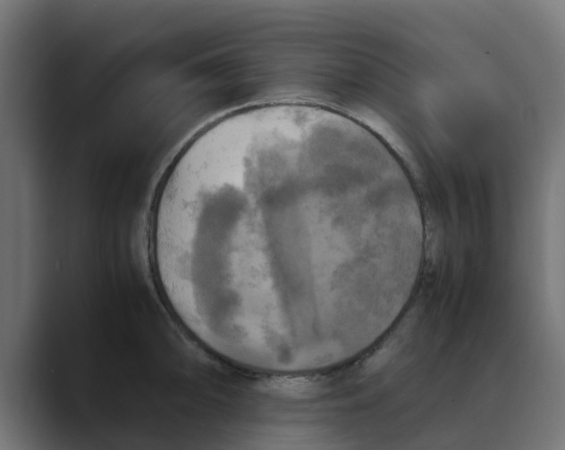 X0000088481094200706191402