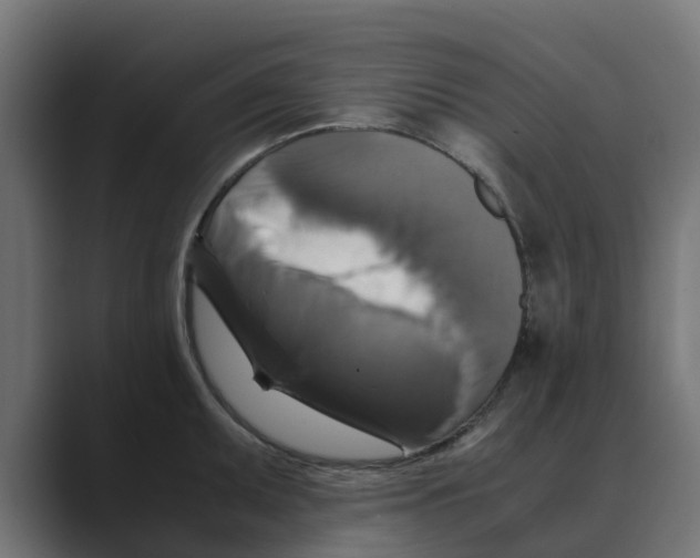 X0000088481095200706191402