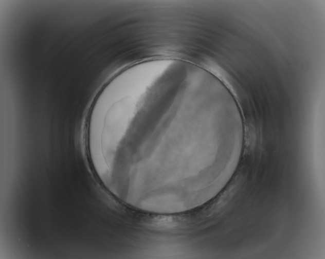 X0000088481098200706191402