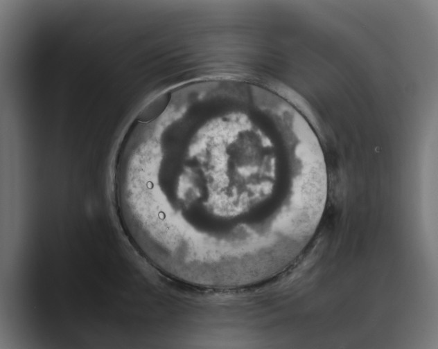 X0000088481099200706191402