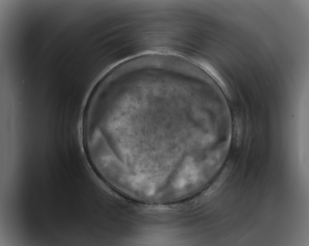 X0000088481100200706191402