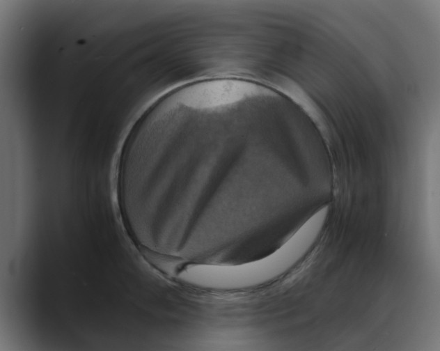 X0000088481102200706191402