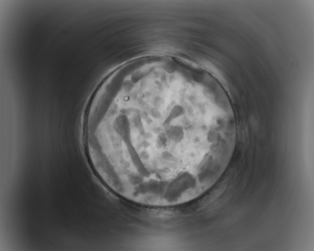 X0000088481103200706191402