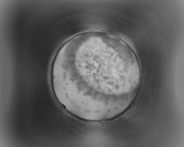 X0000088481104200706191402