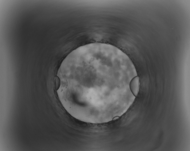 X0000088481105200706191401