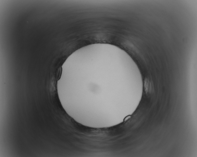 X0000088481107200706191401