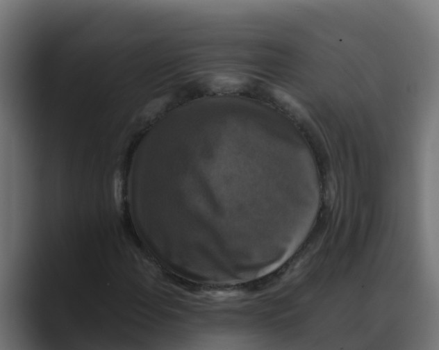 X0000088481108200706191401