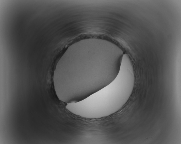 X0000088481110200706191401