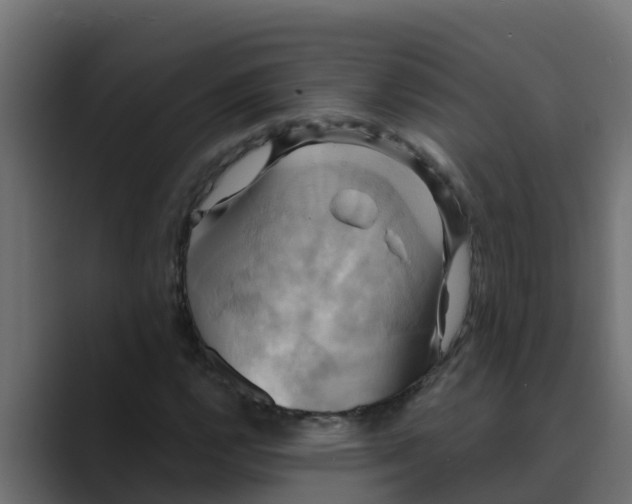 X0000088481112200706191401