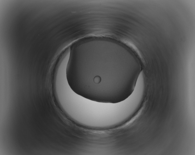 X0000088481114200706191401