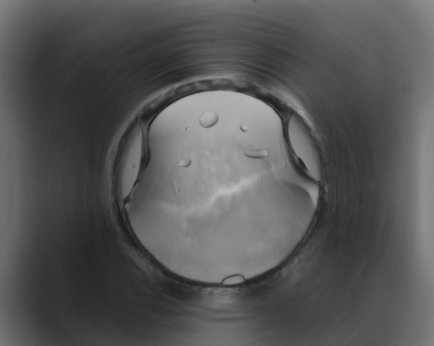 X0000088481116200706191402