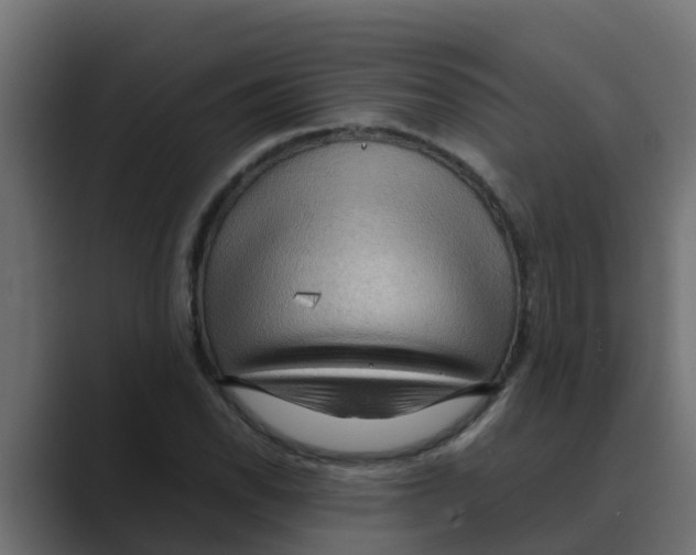 X0000088481118200706191402
