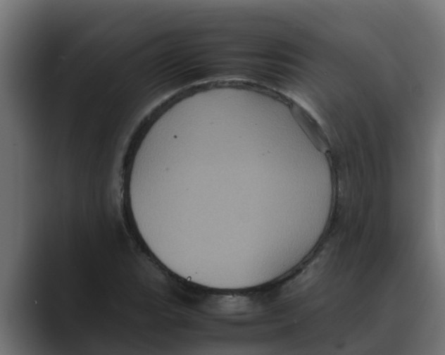 X0000088481119200706191402