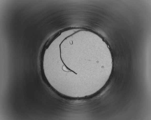 X0000088481122200706191402