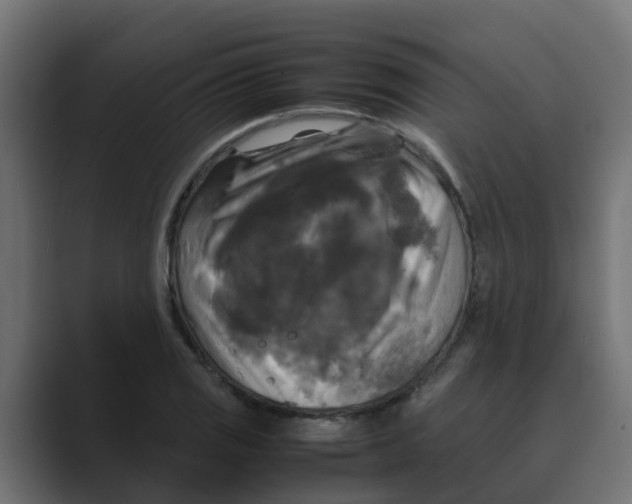 X0000088481125200706191402