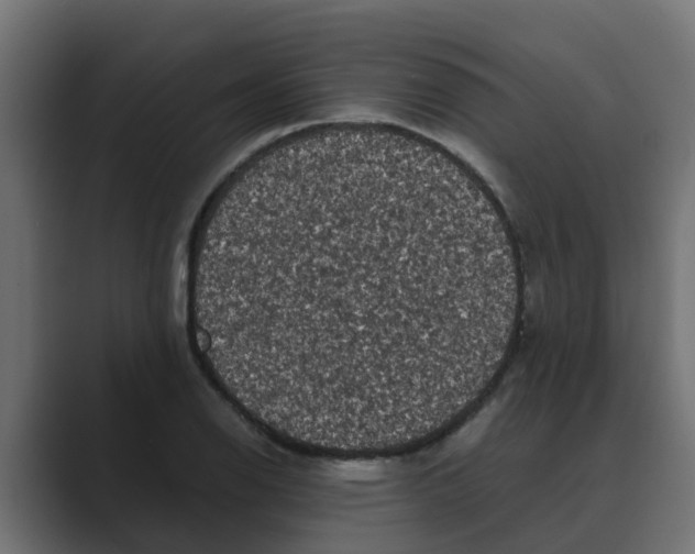 X0000088481126200706191402