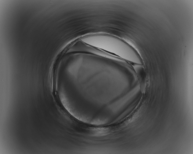 X0000088481127200706191402