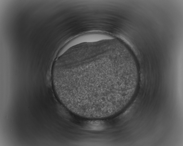 X0000088481129200706191402