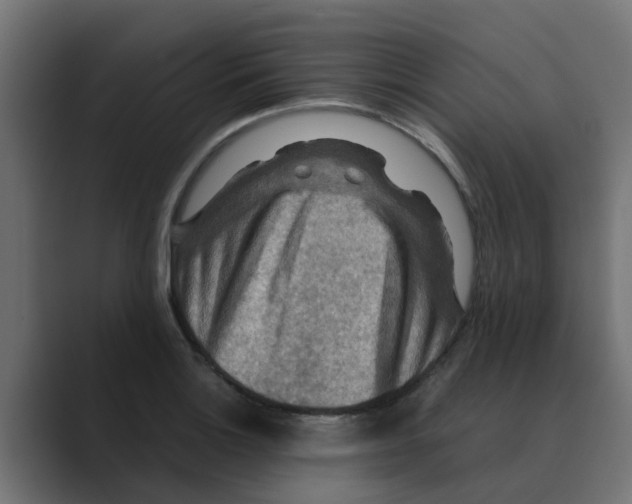 X0000088481132200706191402