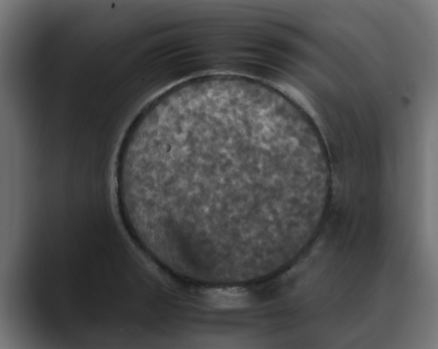 X0000088481133200706191402