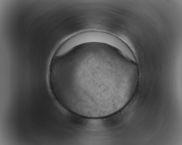 X0000088481136200706191402