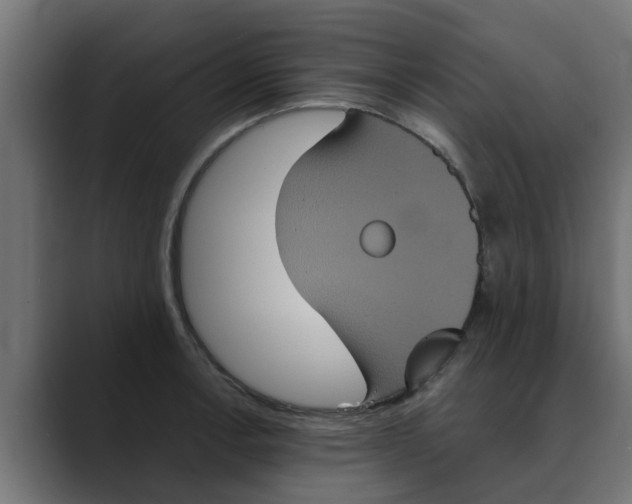 X0000088481138200706191402