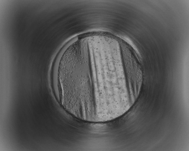 X0000088481140200706191402