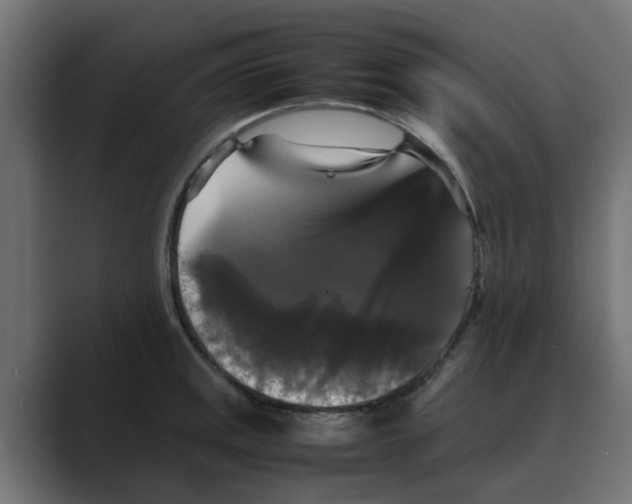 X0000088481141200706191402