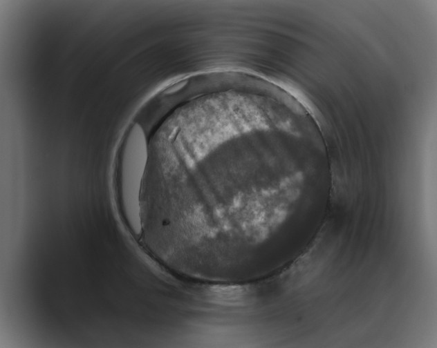 X0000088481142200706191402