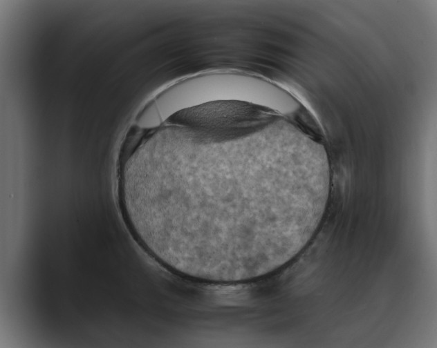 X0000088481143200706191402