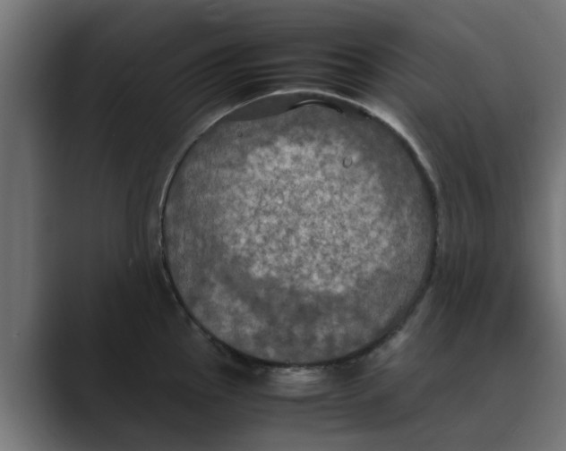 X0000088481145200706191402