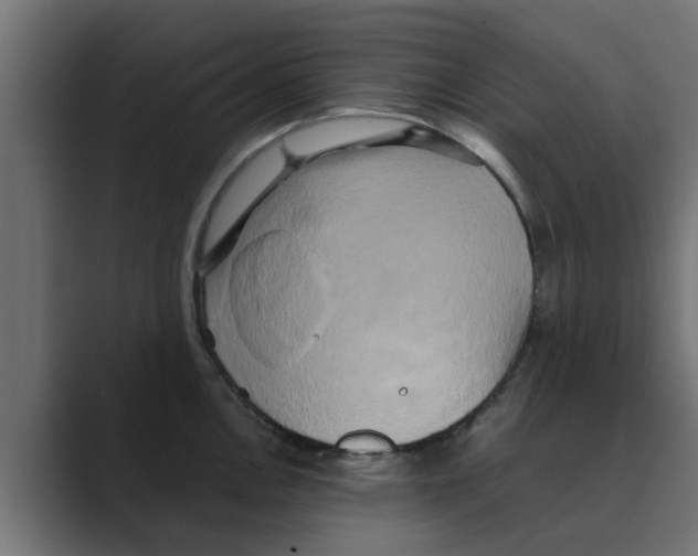 X0000088481146200706191402