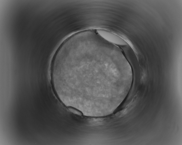 X0000088481148200706191402