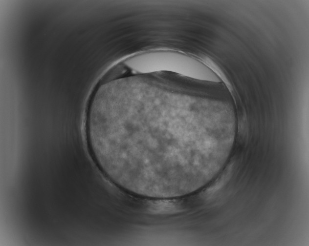 X0000088481149200706191402