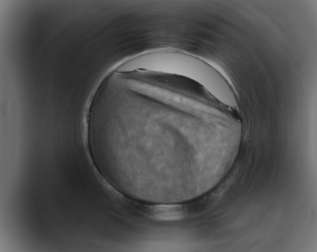 X0000088481151200706191402