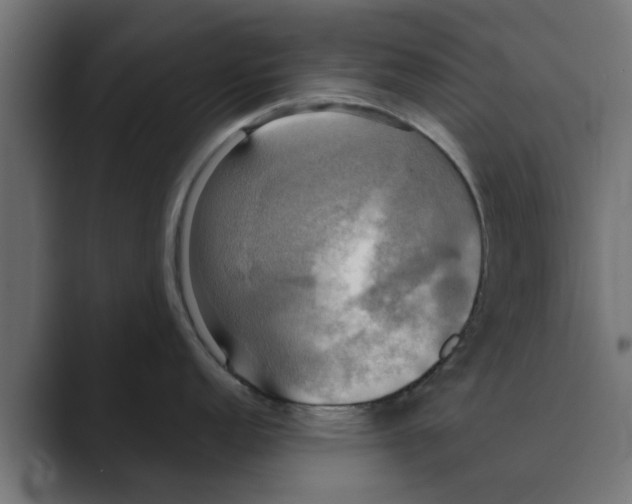 X0000088481152200706191402