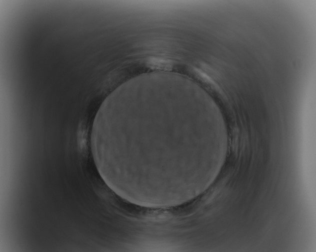 X0000088481154200706191401