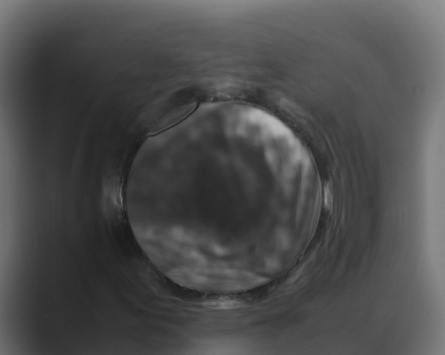 X0000088481155200706191401