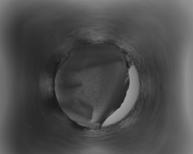 X0000088481156200706191401