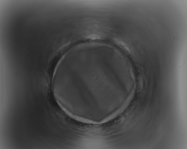 X0000088481158200706191401