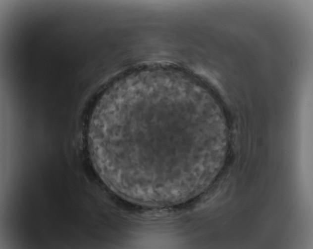 X0000088481159200706191401