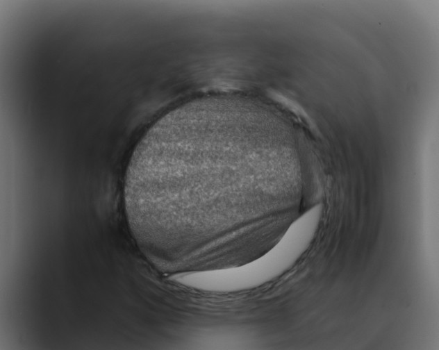 X0000088481160200706191401