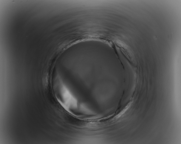 X0000088481161200706191401