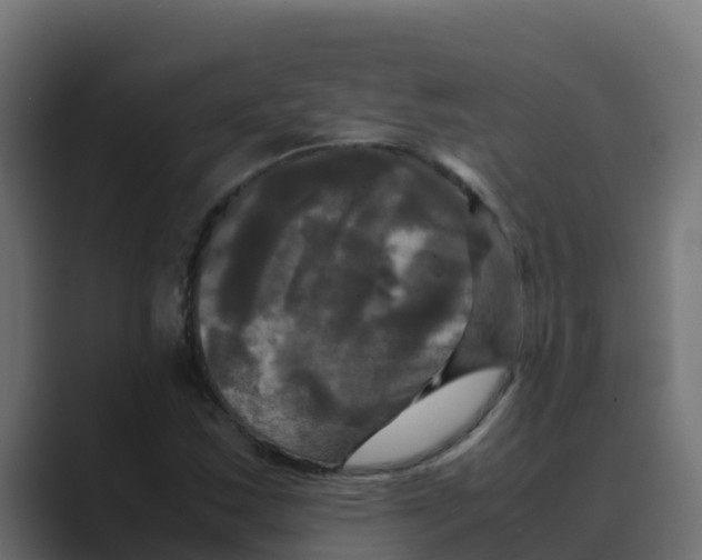 X0000088481163200706191401