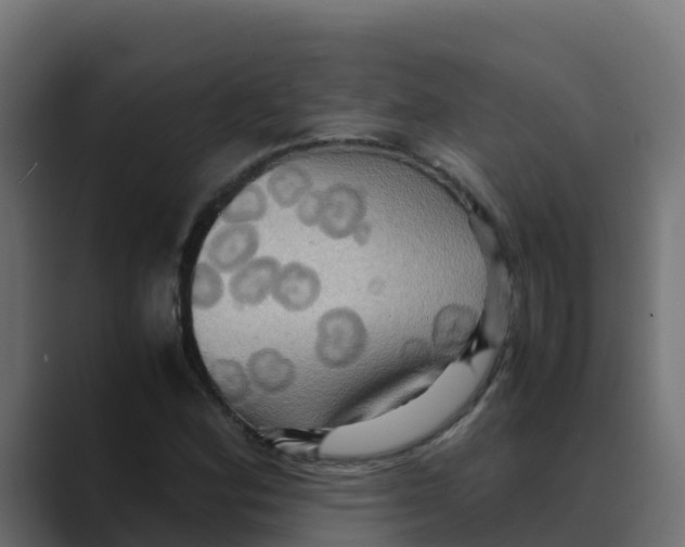 X0000088481164200706191401