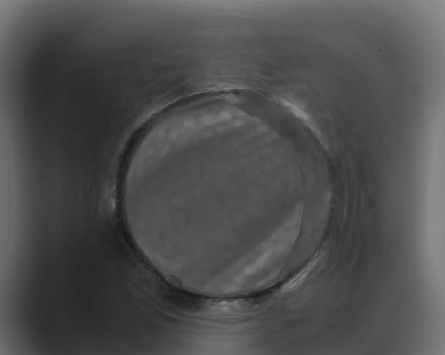 X0000088481165200706191401