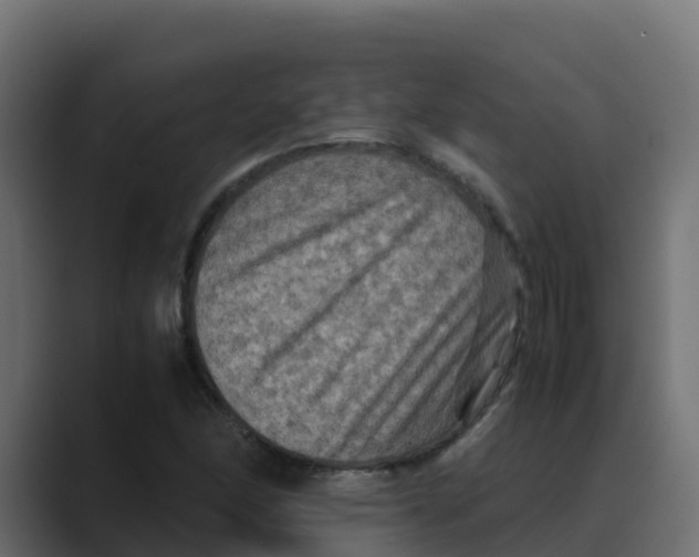 X0000088481166200706191401